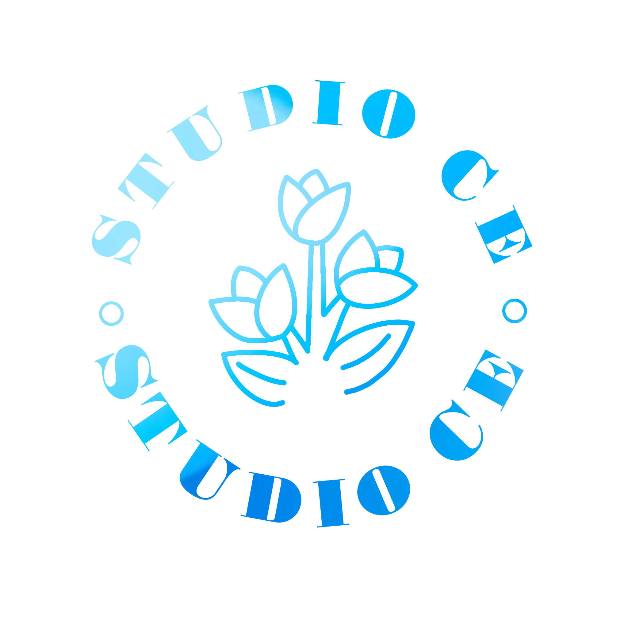 Studio CE